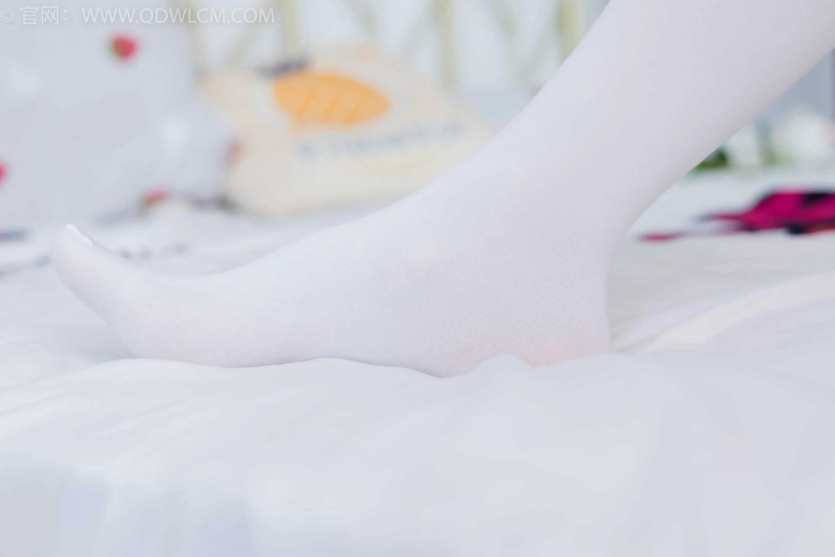 物恋传媒 NO.1547 菜菜-绿野仙踪 [153P]插图3